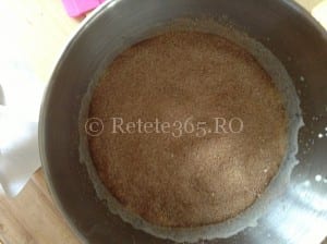 Retete365.RO Prajitura Choco Coco reteta de pe site ul oficial Dukan Retete365.RO Prajitura Choco Coco reteta de pe site ul oficial Dukan Sa bucatarim cu Leta